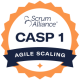 Certified Agile Scaling Practitioner Scrum Alliance Badge